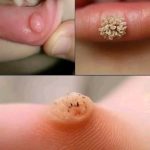 FB_IMG_1760790858457