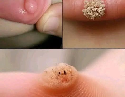 FB_IMG_1760790858457