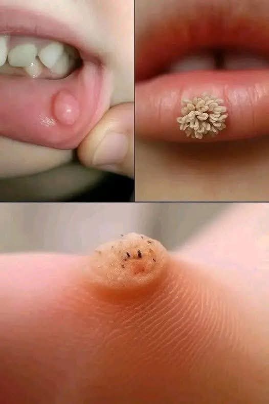 FB_IMG_1760790858457