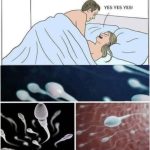 FB_IMG_1762050220794