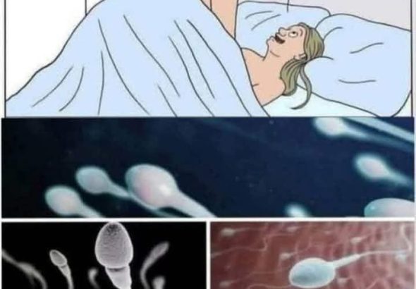 FB_IMG_1762050220794