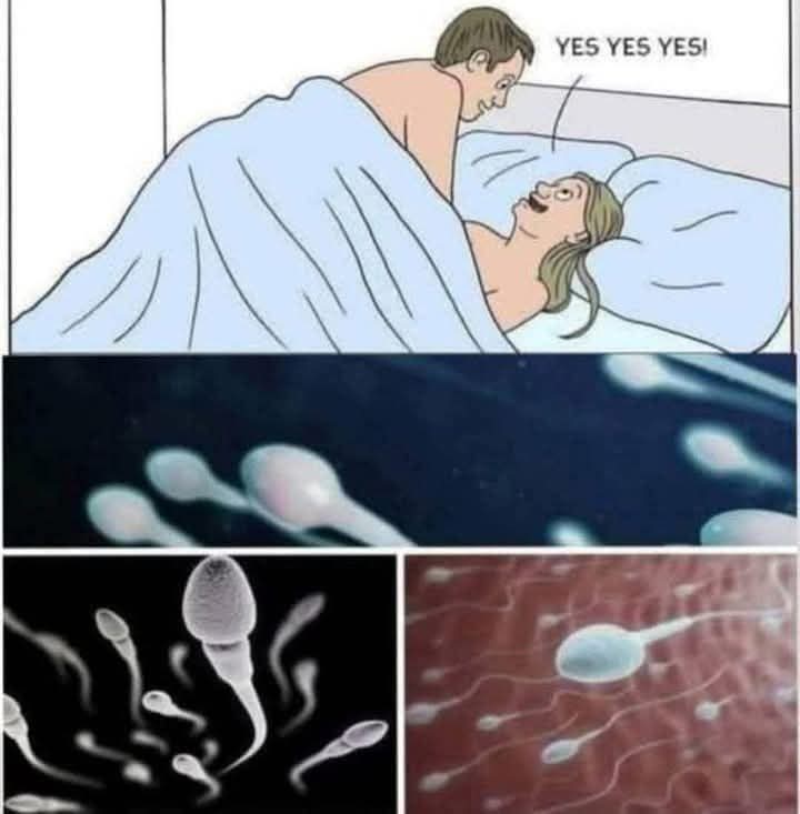 FB_IMG_1762050220794